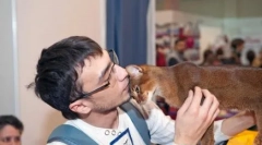 Свята наших дрібних братів: день виходу на те, що день вихованець